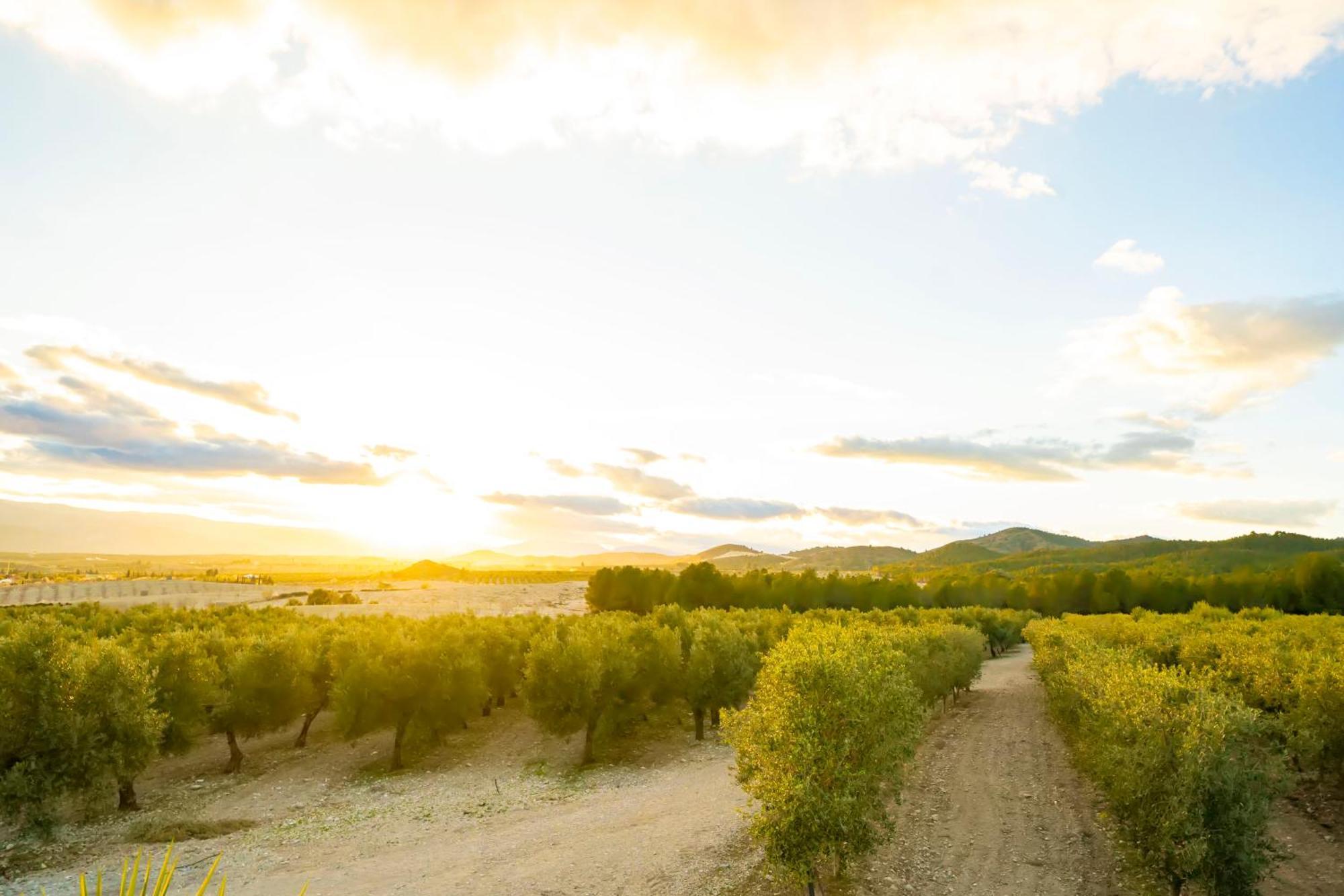 Finca El Espilo Lucar Kültér fotó